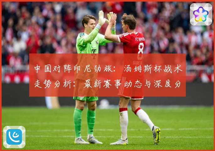 中国对阵印尼劲旅：汤姆斯杯战术走势分析：最新赛事动态与深度分析