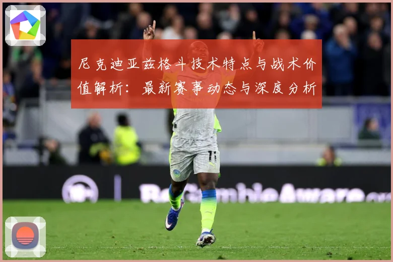 尼克迪亚兹格斗技术特点与战术价值解析：最新赛事动态与深度分析